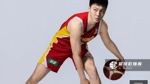 八楼象女士微信：轻松日常，趣味互动指南